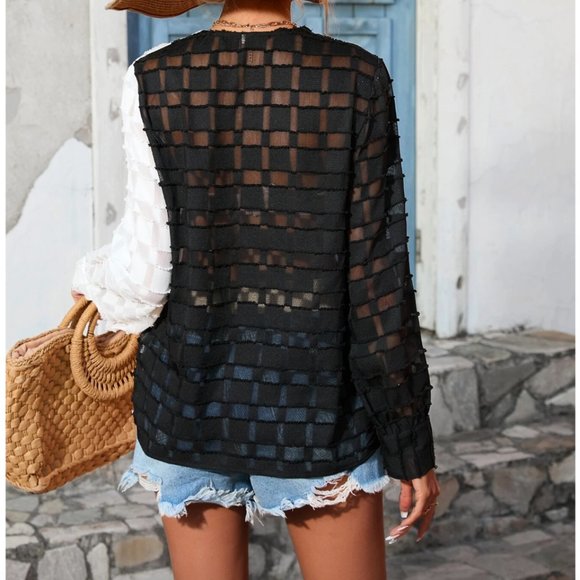 Black And White Sheer Neck V Blouse - Picture 4 of 6